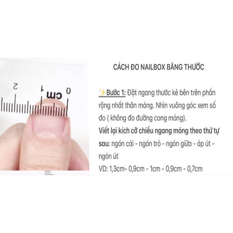 Nailbox móng tay giả mẫu mới 3