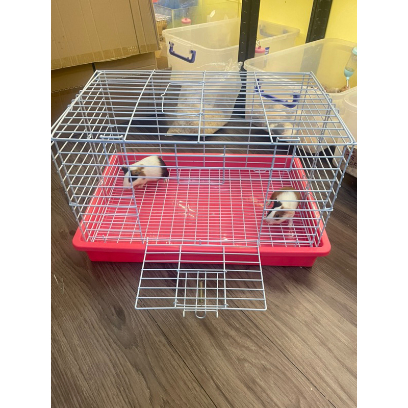 Lồng sắt sơn tĩnh điện cho thỏ,bọ ,chống sét .