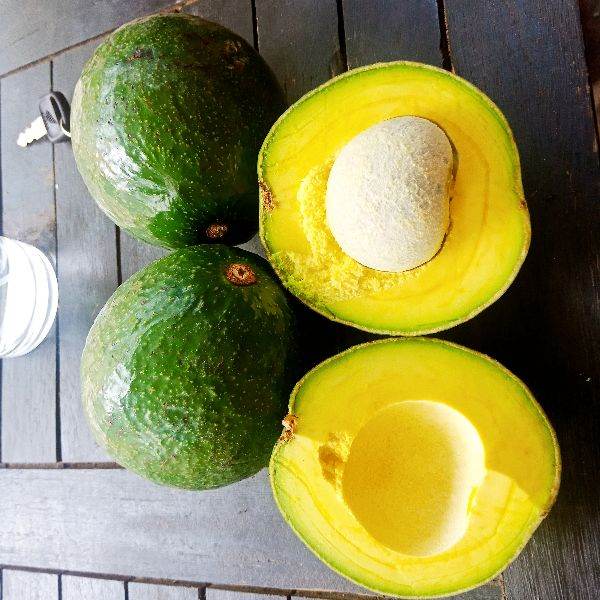 Bơ booth Dẻo, béo, không sơ-1kg