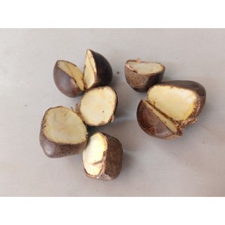 Combo 2kg Hạt Dẻ rừng Tây Bắc [Hạt dẻ Sapa]