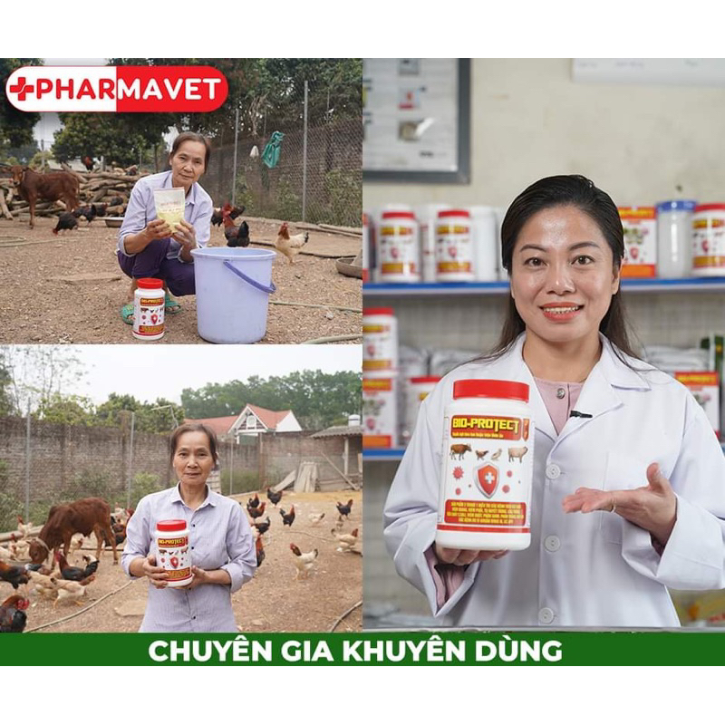 Bio-Protect 100g - phòng và điều trị: tụ huyết trùng, phân xanh, phân trắng, viêm phổi… trên vật nuôi.