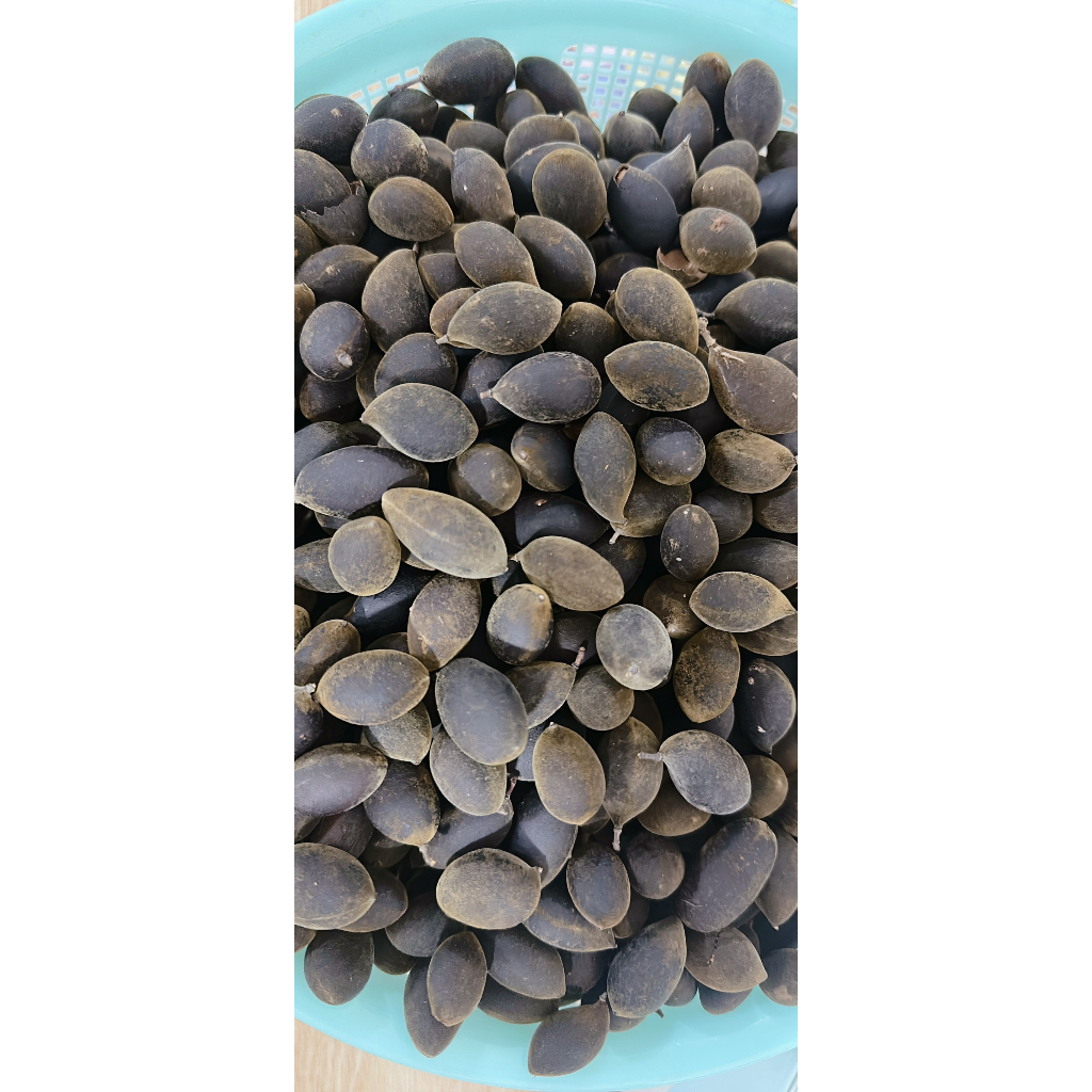 Say Rừng Tự Nhiên