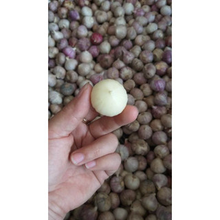 Tỏi cô đơn sạch vỏ túi 500gr [chỉ giao HCM và lân cận]