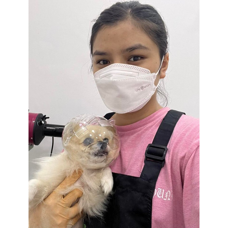 Chụp đầu mèo,Bong bóng nhựa chống cắn chó mèo.