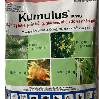 Thuốc trừ bệnh cây trồng Kumulus 80 WG nấm cóc hoa cúc; phấn trắng hoa hồng; ghẻ sẹo cam;
