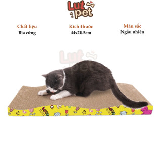 Bàn cào móng cho mèo kèm 1 túi cat nip - trụ cào mài móng cho mèo - lutpet