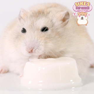 〖SẴN〗𝐁𝐔𝐂𝐀𝐓𝐒𝐓𝐀𝐓𝐄 Pudding Sữa Dê Cho Hamster, Thỏ, Bọ, Nhím, Bò Sát