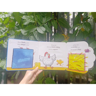 Sách - Tương tác lật mở ( Nhiều chủ đề )