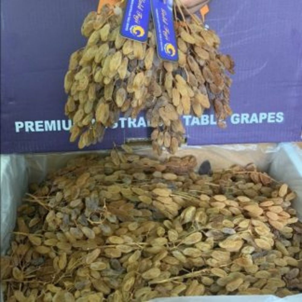 500G nho xanh sấy khô không đường, nho khô xanh ninh thuận hàng loại 1 sấy khô tự nhiên -NXK