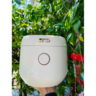 NỒI CƠM BEAR 3L (C30L3)