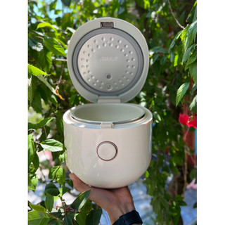 NỒI CƠM BEAR 3L (C30L3)
