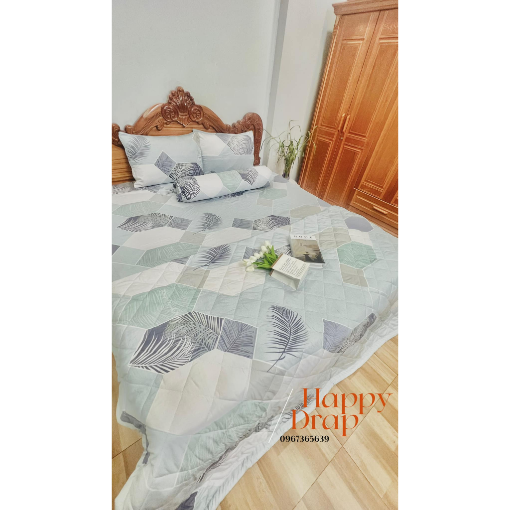 Bộ Chăn Ga Gối Lụa Tencel Happy Drap Mẫu Lông Vũ Phối Màu