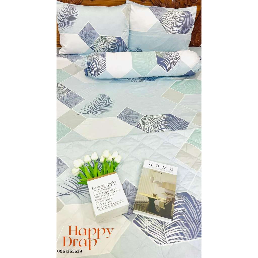 Bộ Chăn Ga Gối Lụa Tencel Happy Drap Mẫu Lông Vũ Phối Màu