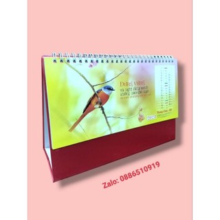 Combo 5 cuốn lịch để bàn ngẫu nhiên 2024