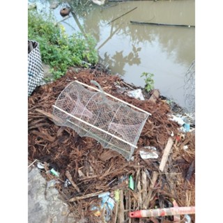  combo 5 cái lờ cá lóc 32*52 vành sắt 