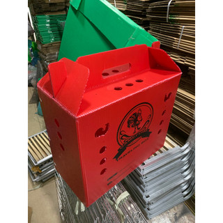 Thùng nhựa gà tre ngủ (kèm tấm lót)