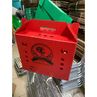 Thùng nhựa gà tre ngủ (kèm tấm lót)