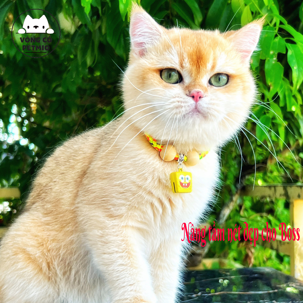 Vòng cổ cho mèo, vòng cho Chó Mèo,mã petmio gỗ đơn,vòng handmade Shop Tự Thiết kế cute cao cấp,có chuông,không sợ nước