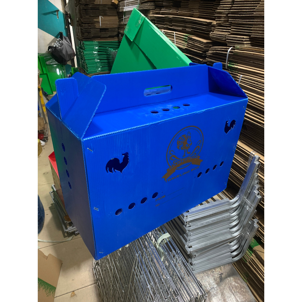 Thùng nhựa gà nòi ngủ