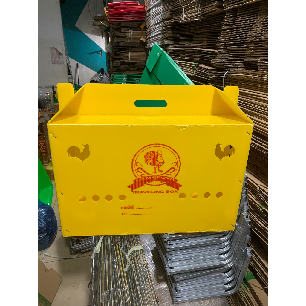 Thùng nhựa gà nòi ngủ