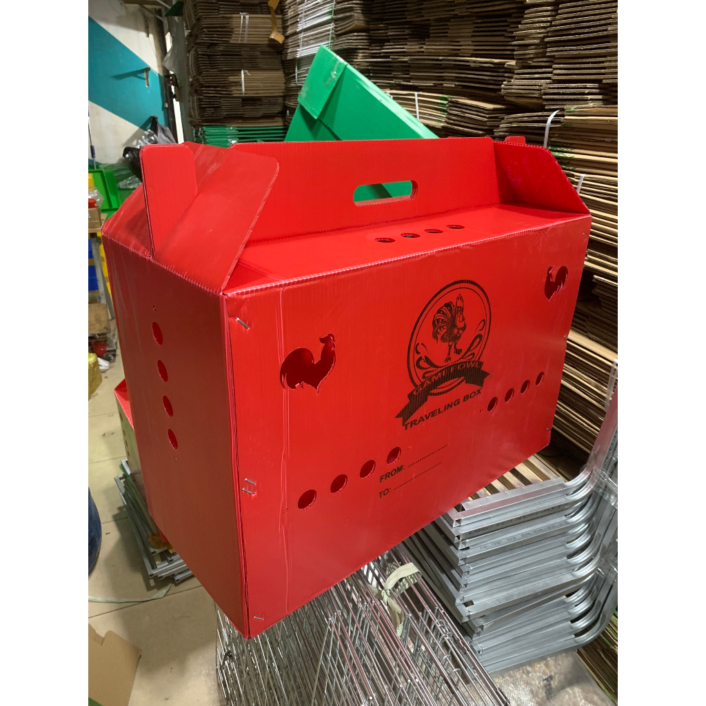 Thùng nhựa gà nòi ngủ