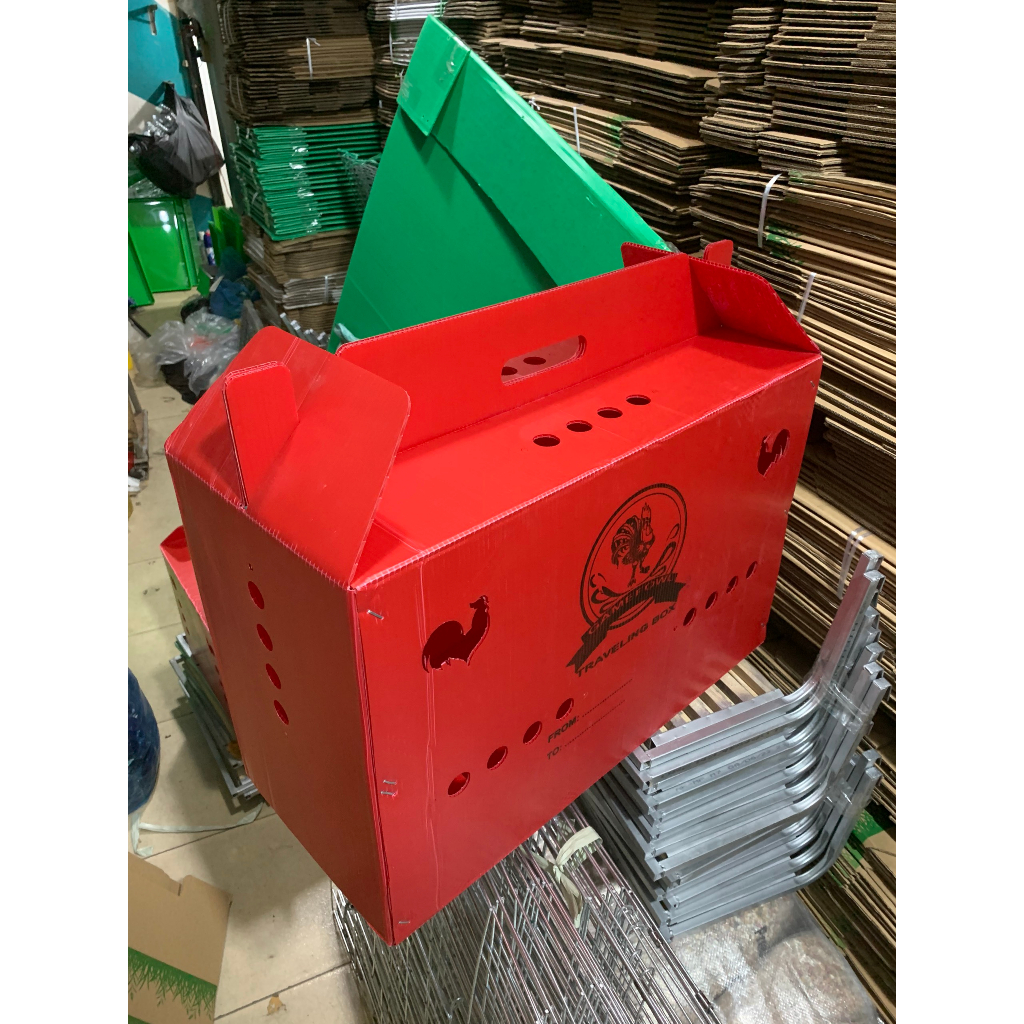 Thùng nhựa gà nòi ngủ