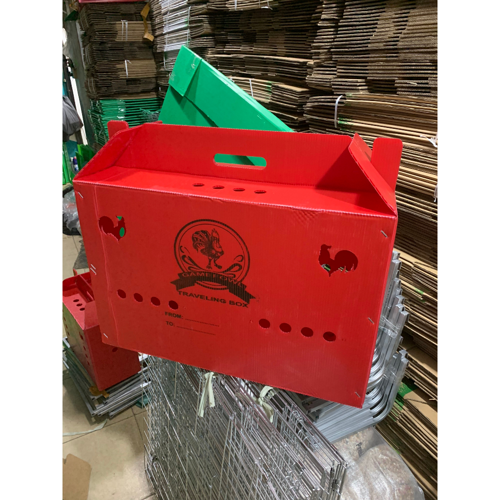 Thùng nhựa gà nòi ngủ