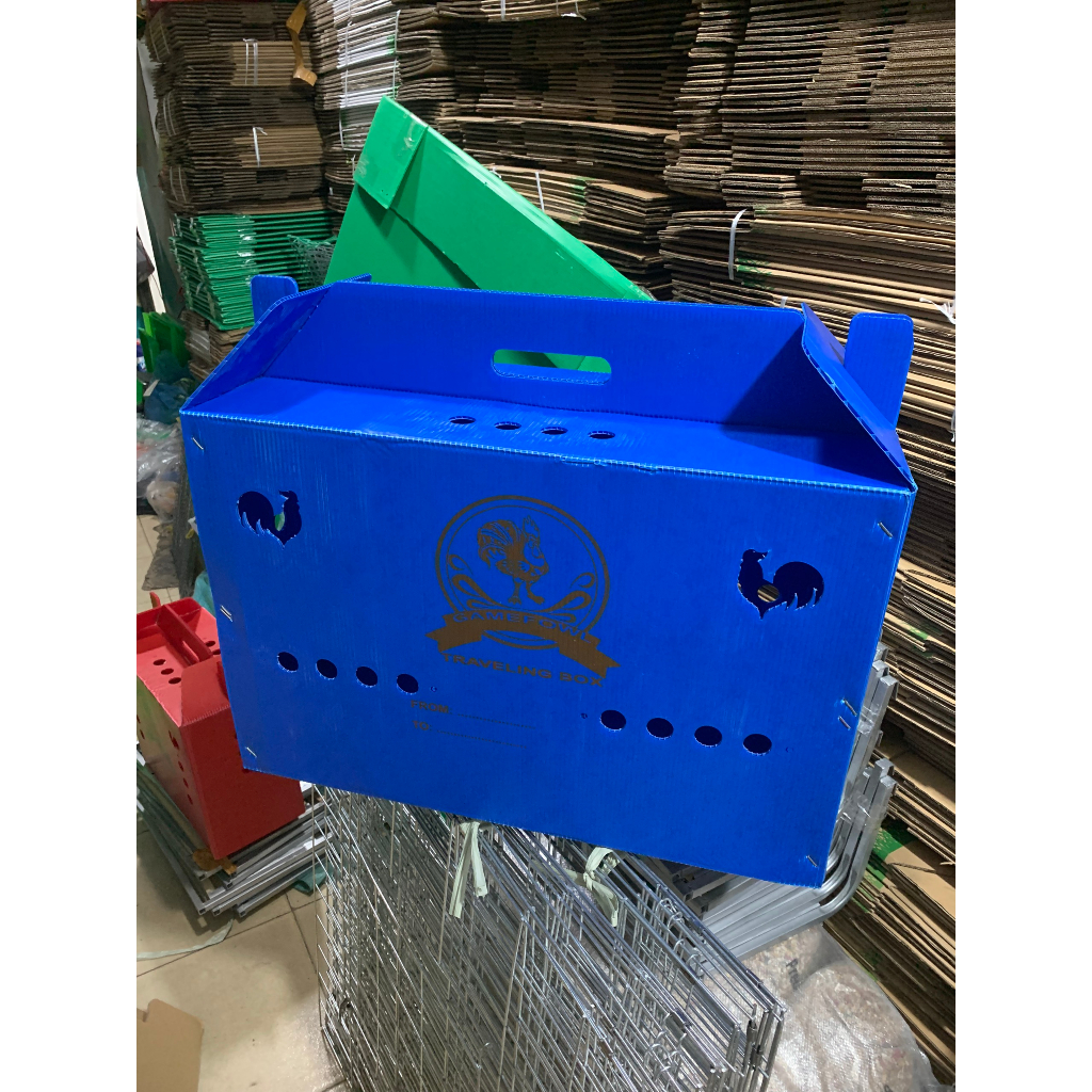 Thùng nhựa gà nòi ngủ