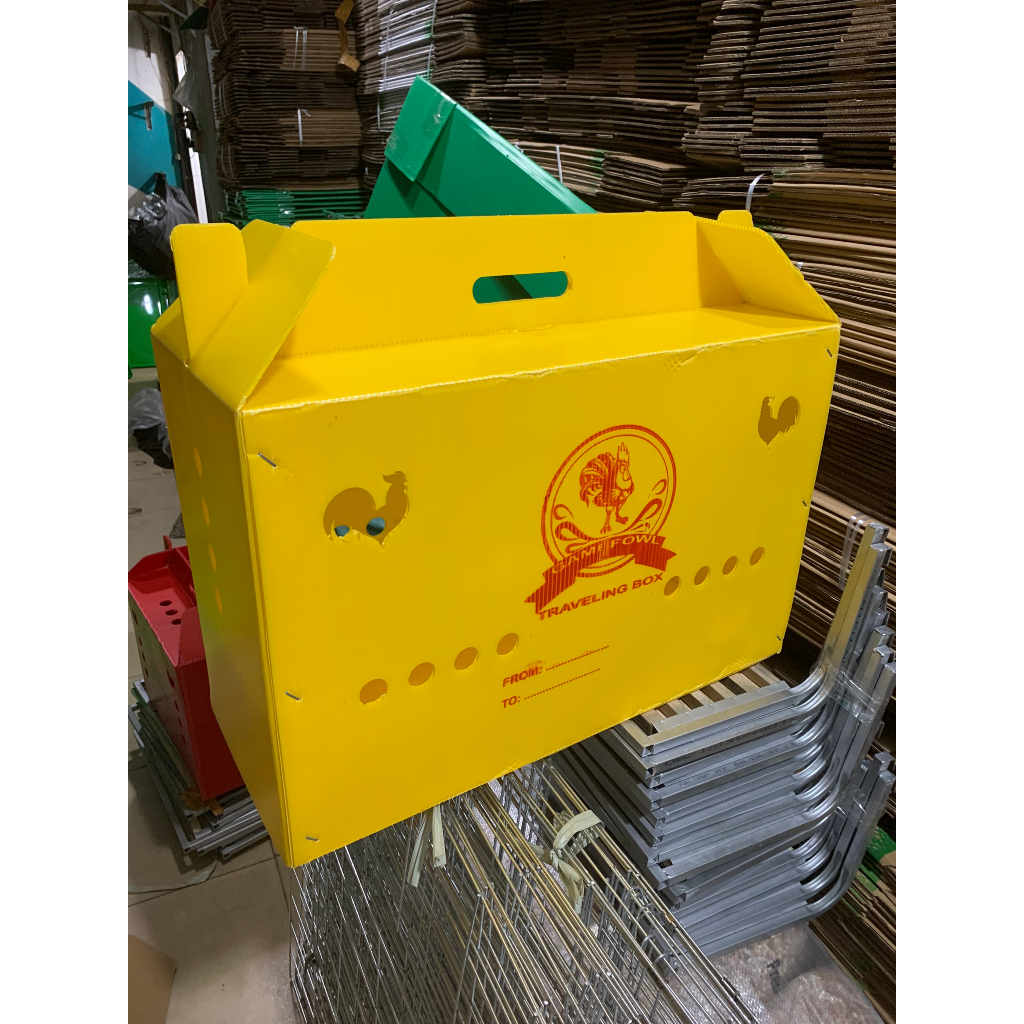 Thùng nhựa gà nòi ngủ