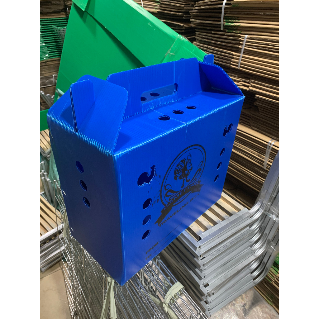 Thùng nhựa gà tre ngủ