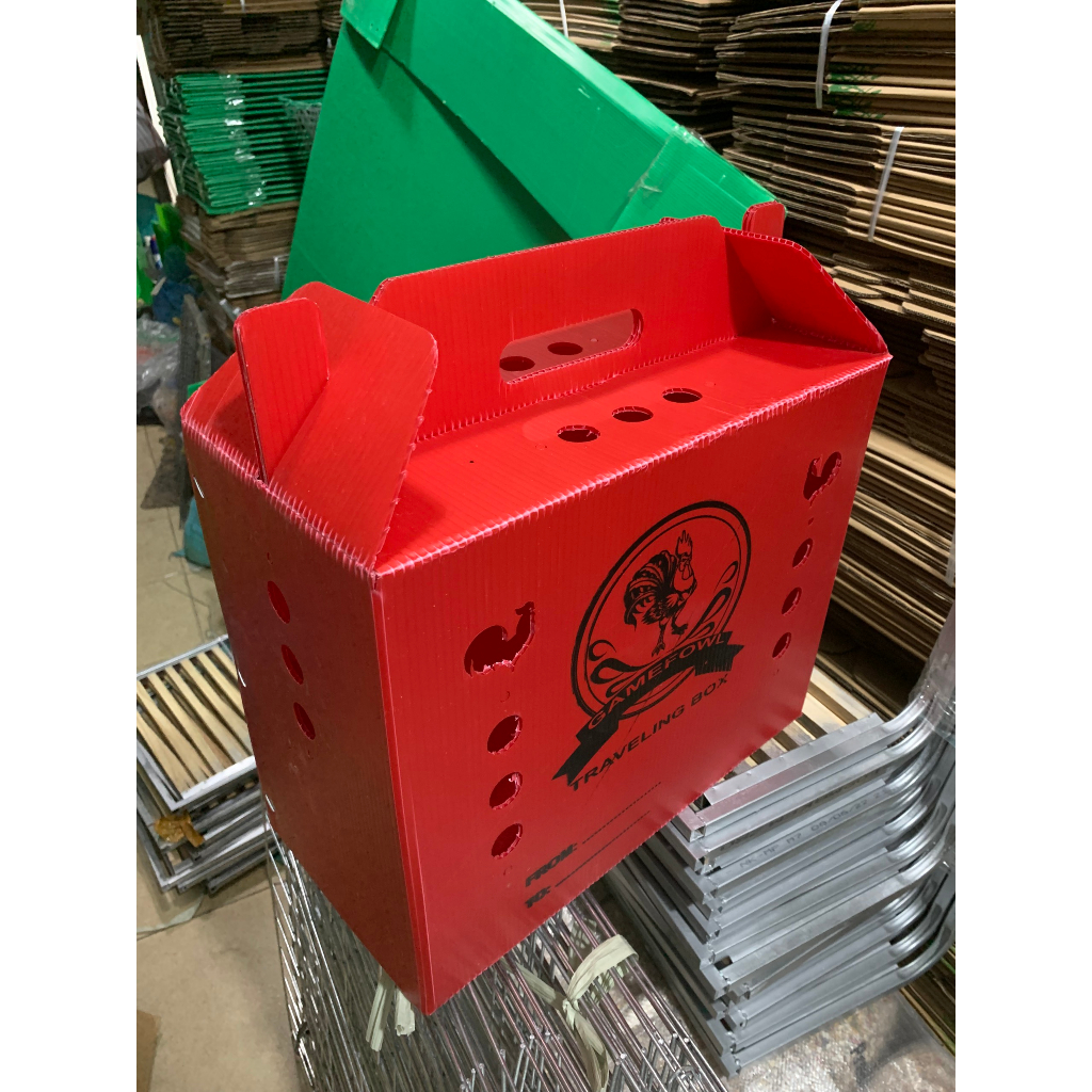 Thùng nhựa gà tre ngủ