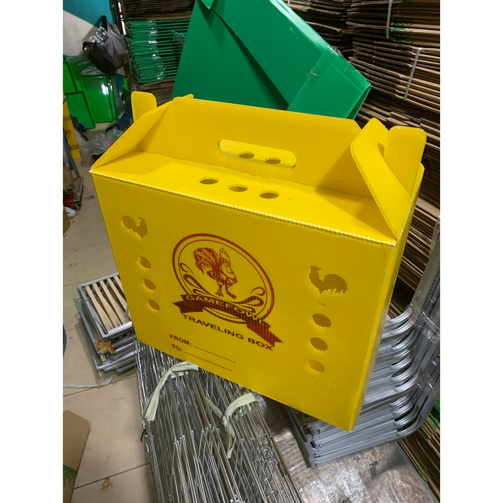 Thùng nhựa gà tre ngủ