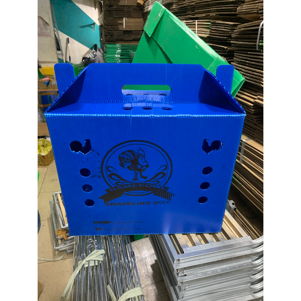 Thùng nhựa gà tre ngủ