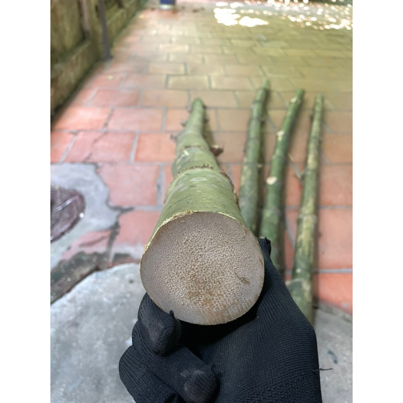 4 nan tre thô làm diều lắp ghép 2m-3m