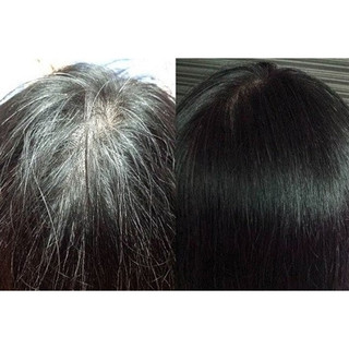 Thuốc nhuộm tóc phủ bạc  ĐEN TUYỀN phủ bạc tại nhà Dạng tuýp Meiki Nhật