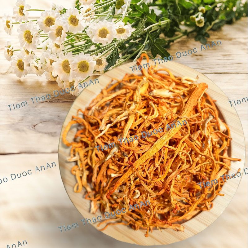 Đông Trùng Hạ Thảo Sấy Khô Vàng, Nấm Đông Trùng Hạ Thảo Tăng Sức Đề Kháng, Chống L.ão Hóa