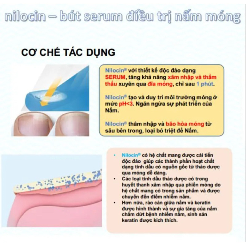 NILOCIN – NGĂN NGỪA NẤM MÓNG