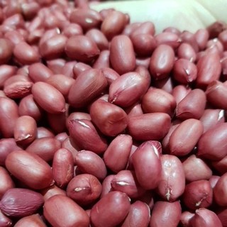 Lạc đỏ Lạng Sơn