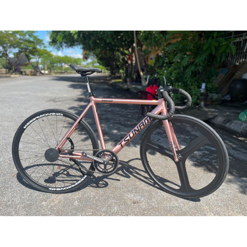 Xe đạp Tsunami 100