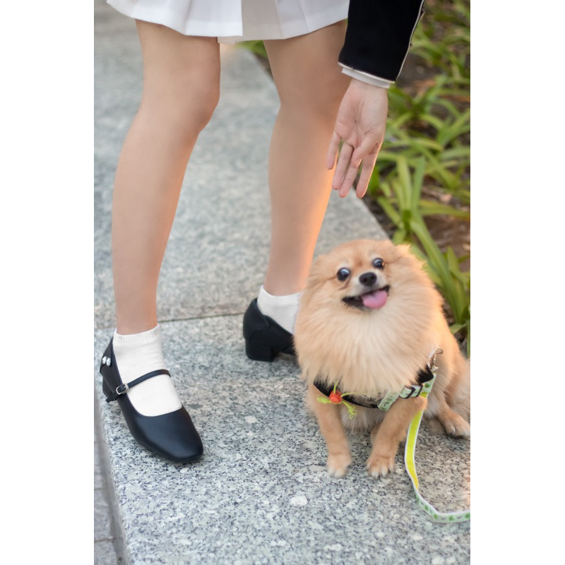 TWOWALK: Starry Dream - Giày Nữ Mary Jane Da Microfiber Cao Cấp - Màu Kem/ Đen - 3cm