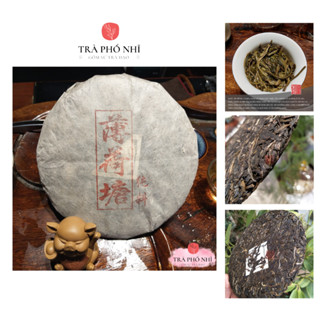 Trà Phổ Nhĩ Cổ Thụ Vân Nam Lão Trà  Tuyển Chọn Đặc Biệt Thủ Công - Trà Sống Bánh 357G - Trà Ngon