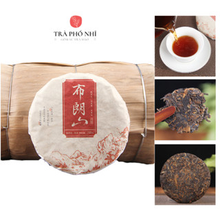 Trà Phổ Nhĩ Chín Cổ Thụ Núi Vân Nam  Bánh 100G-Bộ Sưu Tâp Trà Cổ Thụ