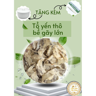 Combo 100g yến thô+ nhíp nhặt tổ yến bể gãy lớn nguyên chất