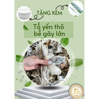 50g tổ yến gãy bể lớn tặng nhíp+táo đỏ+đường phèn +hạt chia_ yến sào nguyên chất