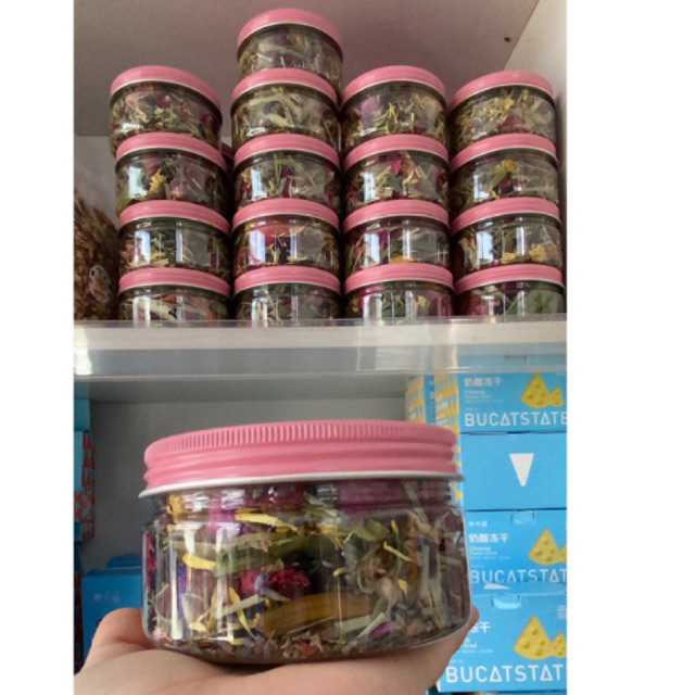 Hủ 10 Loại hoa và Thảo mộc cho thú cưng