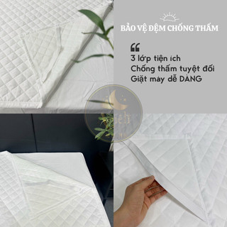 Bọc đệm chống thấm đa năng AMELI