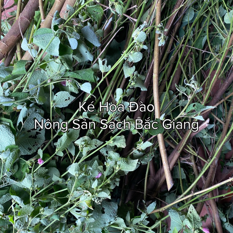 Ké Hoa Đào Khô 1000g