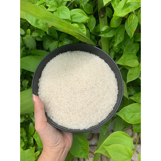 Bịch 5kg gạo đài thơm 8 nấu cơm ngon dẻo gạo nhà làm được nhe
