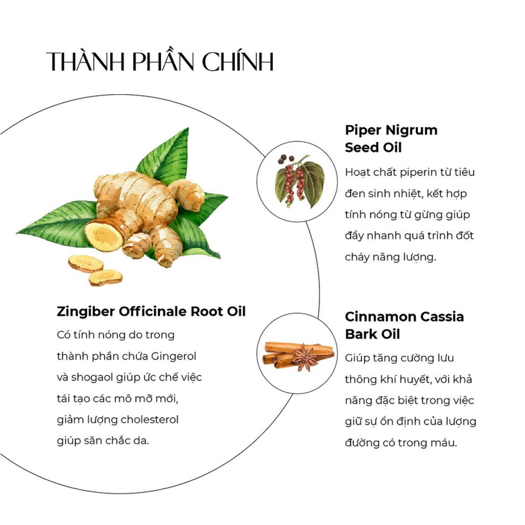 [ Bigsize ] Kem tan mỡ bụng Truesky S Body Cream chiết xuất Quế Gừng an toàn và hiệu quả 200g