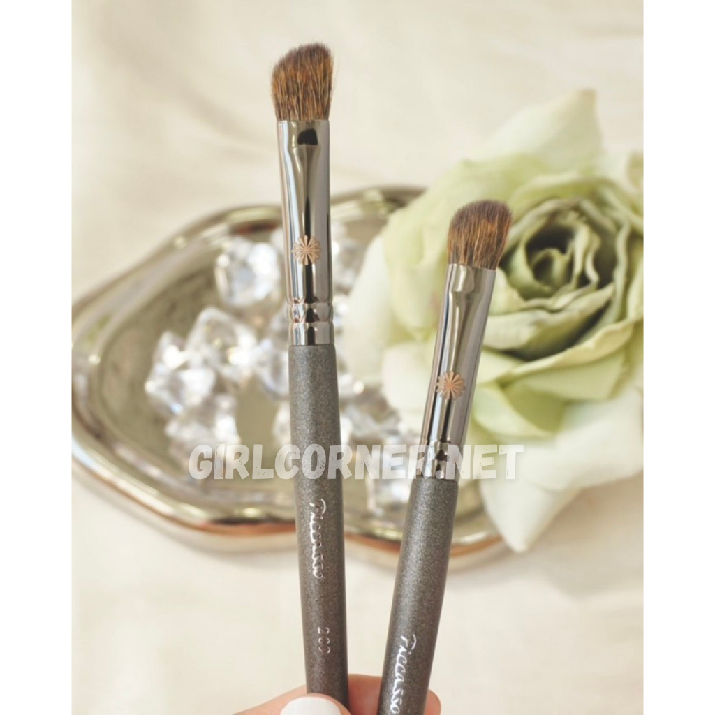 Cọ sống mũi Piccasso 209